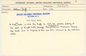 Image representing photograph.