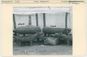 Image representing photograph.