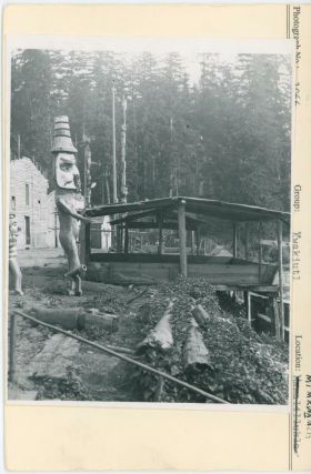 Image representing photograph.