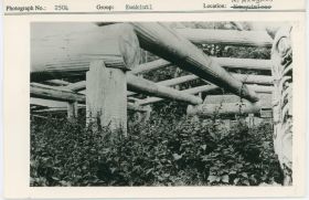 Image representing photograph.