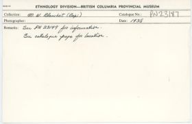 Image representing photograph.