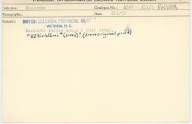 Image representing photograph.