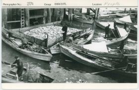 Image representing photograph.