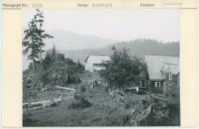 Image representing photograph.