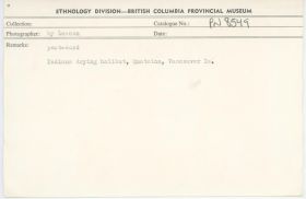 Image representing photograph.