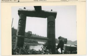 Image representing photograph.