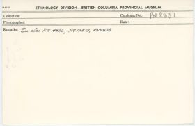 Image representing photograph.