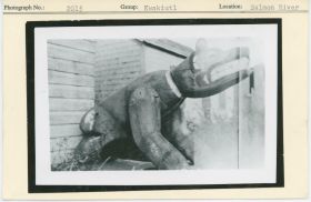 Image representing photograph.