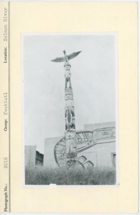 Image representing photograph.