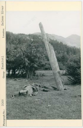 Image representing photograph.