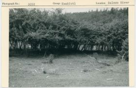 Image representing photograph.