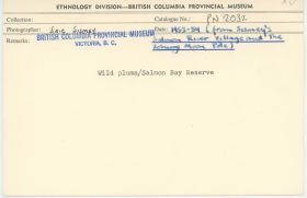 Image representing photograph.