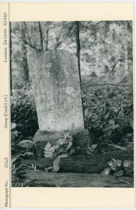 Image representing photograph.