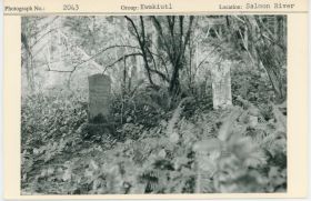 Image representing photograph.