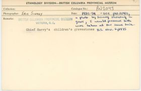 Image representing photograph.