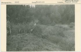 Image representing photograph.