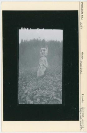 Image representing photograph.