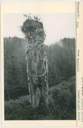 Image representing photograph.