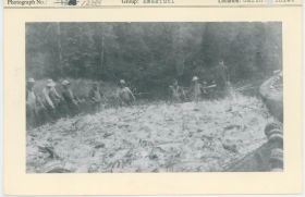 Image representing photograph.