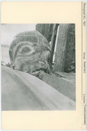 Image representing photograph.