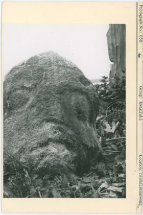 Image representing photograph.