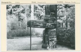 Image representing photograph.