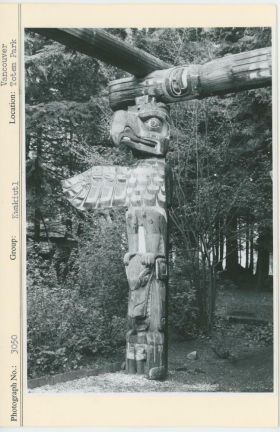 Image representing photograph.