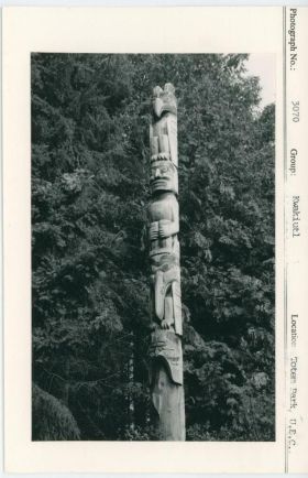 Image representing photograph.