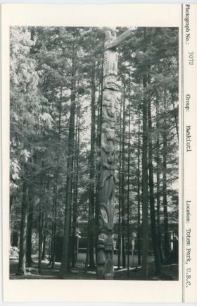 Image representing photograph.