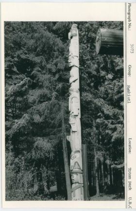 Image representing photograph.