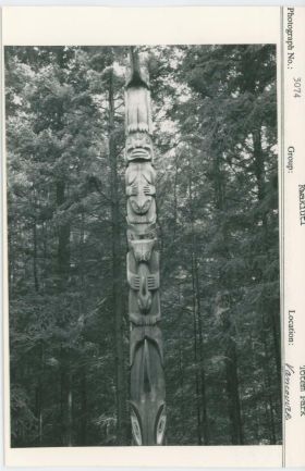 Image representing photograph.