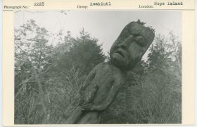 Image representing photograph.