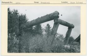 Image representing photograph.