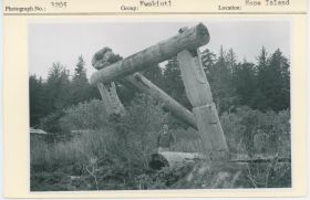 Image representing photograph.