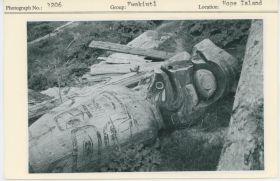 Image representing photograph.