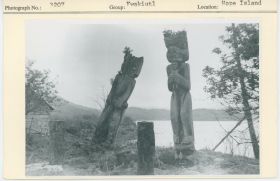 Image representing photograph.