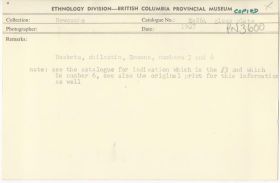 Image representing photograph.