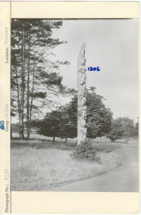 Image representing photograph.