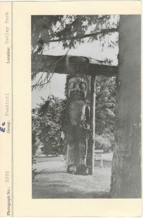 Image representing photograph.