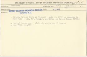 Image representing photograph.