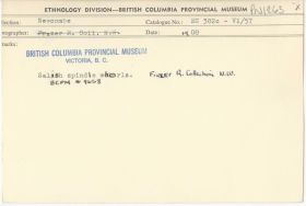 Image representing photograph.