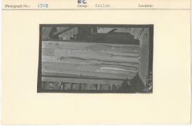 Image representing photograph.