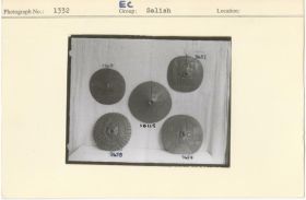 Image representing photograph.