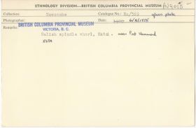 Image representing photograph.