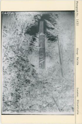 Image representing photograph.