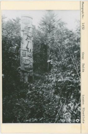 Image representing photograph.