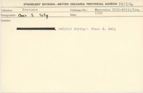 Image representing photograph.