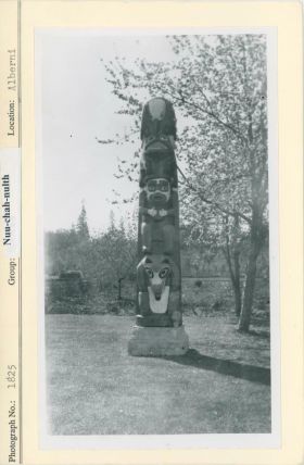 Image representing photograph.