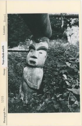 Image representing photograph.