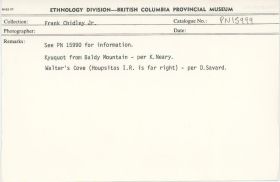 Image representing photograph.